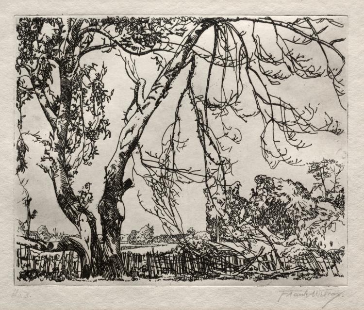 Apple Tree by Frank Wilcox (American, 1887–1964) - Classic Art canvas print