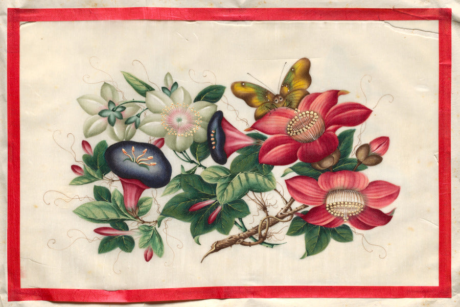 Painting Eleven from Illustrated Book of Flowers and Butterflies by  - Classic Art canvas print