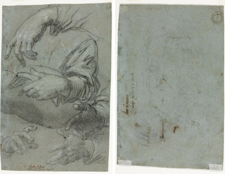 Studies of Hands recto Sketch of a Child's Head verso by Carletto Caliari (Italian, 1570–1596) - Classic Art canvas print