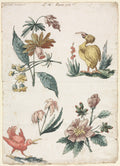 Floral Designs with Two Birds by Giacomo Cavenezia (Italian) - Classic Painting canvas print