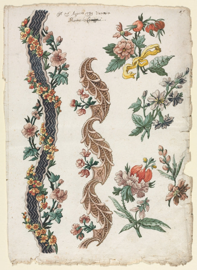 Floral Designs and Floral Bands by Giacomo Cavenezia (Italian) - Classic Painting canvas print