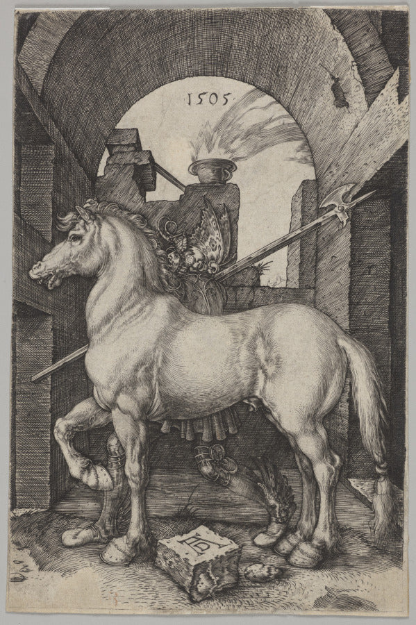 The Small Horse by Albrecht Dürer (German, 1471–1528) - Classic Art canvas print