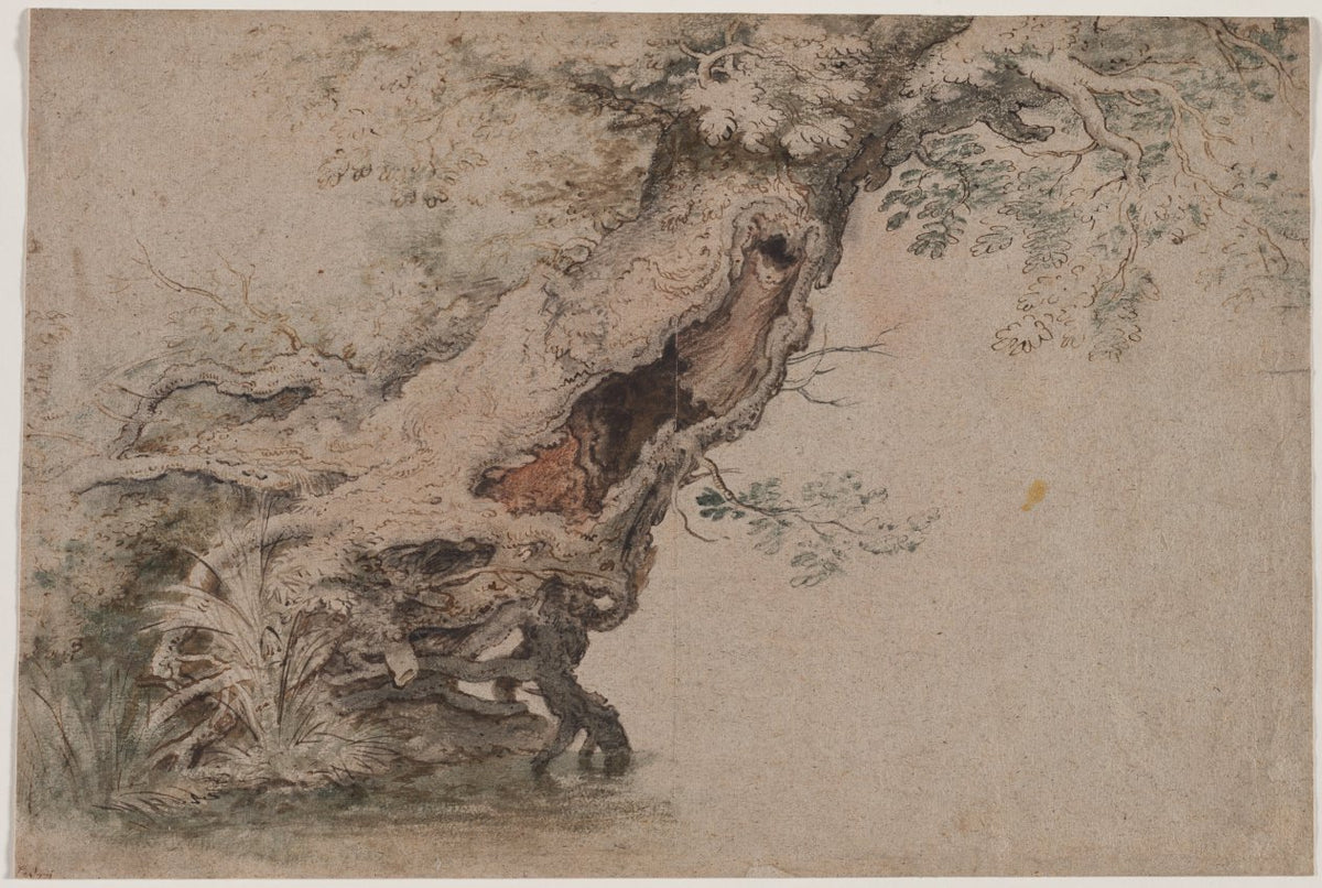 Hollow Tree, after Roelant Savery by Lambert Doomer (Dutch, 1623–1700) - Classic Painting canvas print