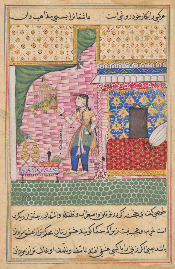 The Parrot Addresses Khujasta at the Beginning of the Seventeenth Night, from a Tuti-nama Tales of a Parrot by Sravana (Indian) - Classic Art canvas print