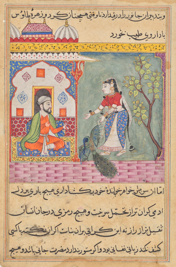 The Brahmans wife who killed a peacock and ate its gallbladder on the physicians advice, from a Tuti-nama Tales of a Parrot Nineteenth Night by  - Classic Art canvas print