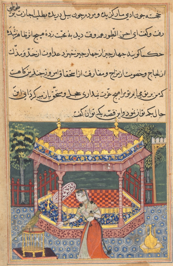 The parrot addresses Khujasta at the beginning of the thirty-seventh night, from a Tuti-nama Tales of a Parrot by  - Classic Art canvas print