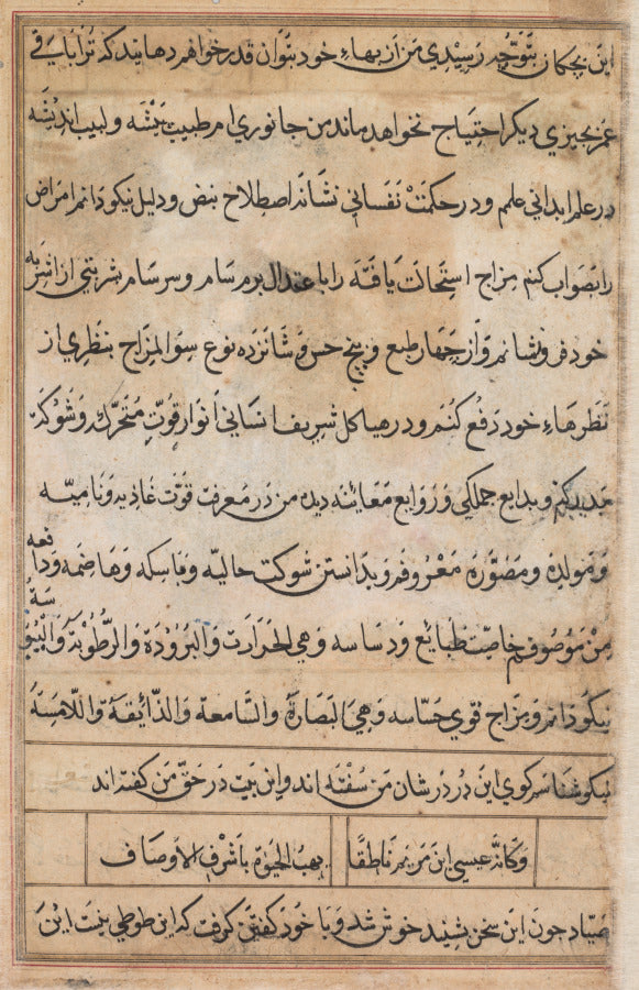 Page from Tales of a Parrot Tuti-nama text page by Basavana (Indian, active c. 1560–1600) - Classic Art canvas print