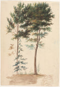 Trees by Jean Baptiste Pillement (French, 1728–1808) - Classic Painting canvas print