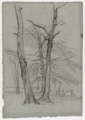 Landscape Study with Trees by Thomas Couture (French, 1815–1879) - Classic Painting canvas print