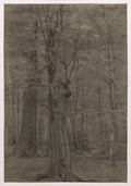 Trees by Leopold Bode (German, 1831–1906) - Classic Painting canvas print