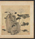 Paintings after Ancient Masters Lotus and Rocks by Chen Hongshou (Chinese, 1598/99–1652) - Classic Art canvas print