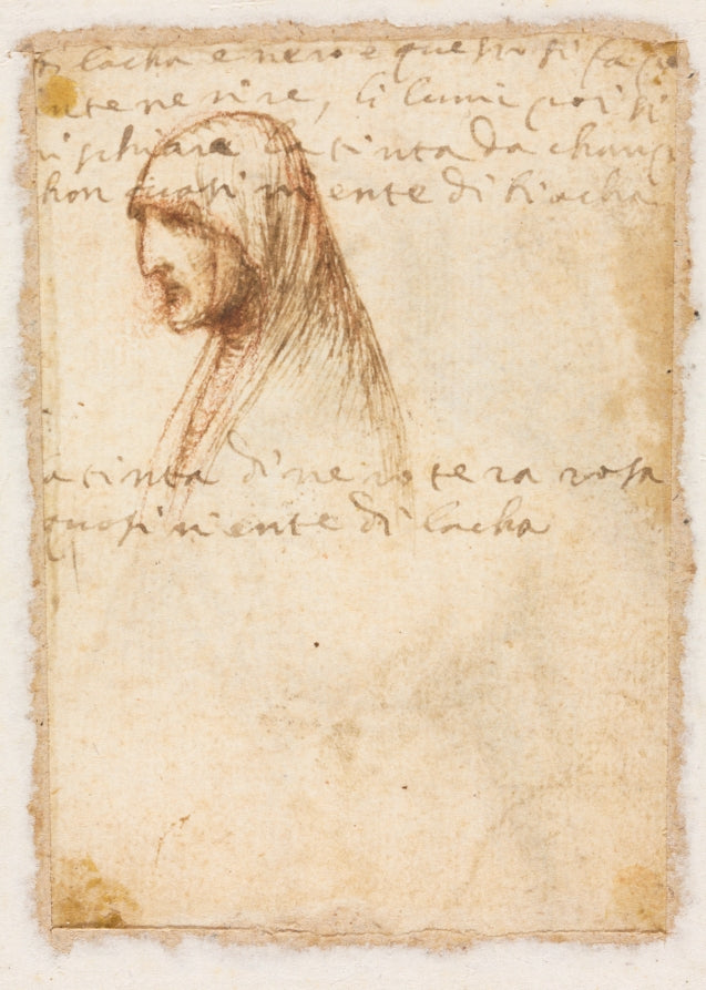 Bust-Length Profile of an Old Woman verso by Dosso Dossi (Italian, c. 1490–after 1541) - Classic Painting canvas print