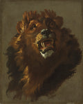 Lion by Giuseppe Baldrighi (Italian, 1723–1803) - Classic Art canvas print