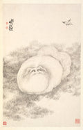 Cat and Butterfly by Min Zhen (Chinese, 1730–after 1788) - Classic Art canvas print