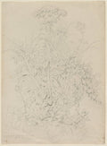 Plant Study by Eugene Bléry (French, 1805–1886) - Classic Painting canvas print