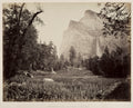 Bridal Veil, Yosemite by Carleton E. Watkins (American, 1829–1916) - Classic Art canvas print