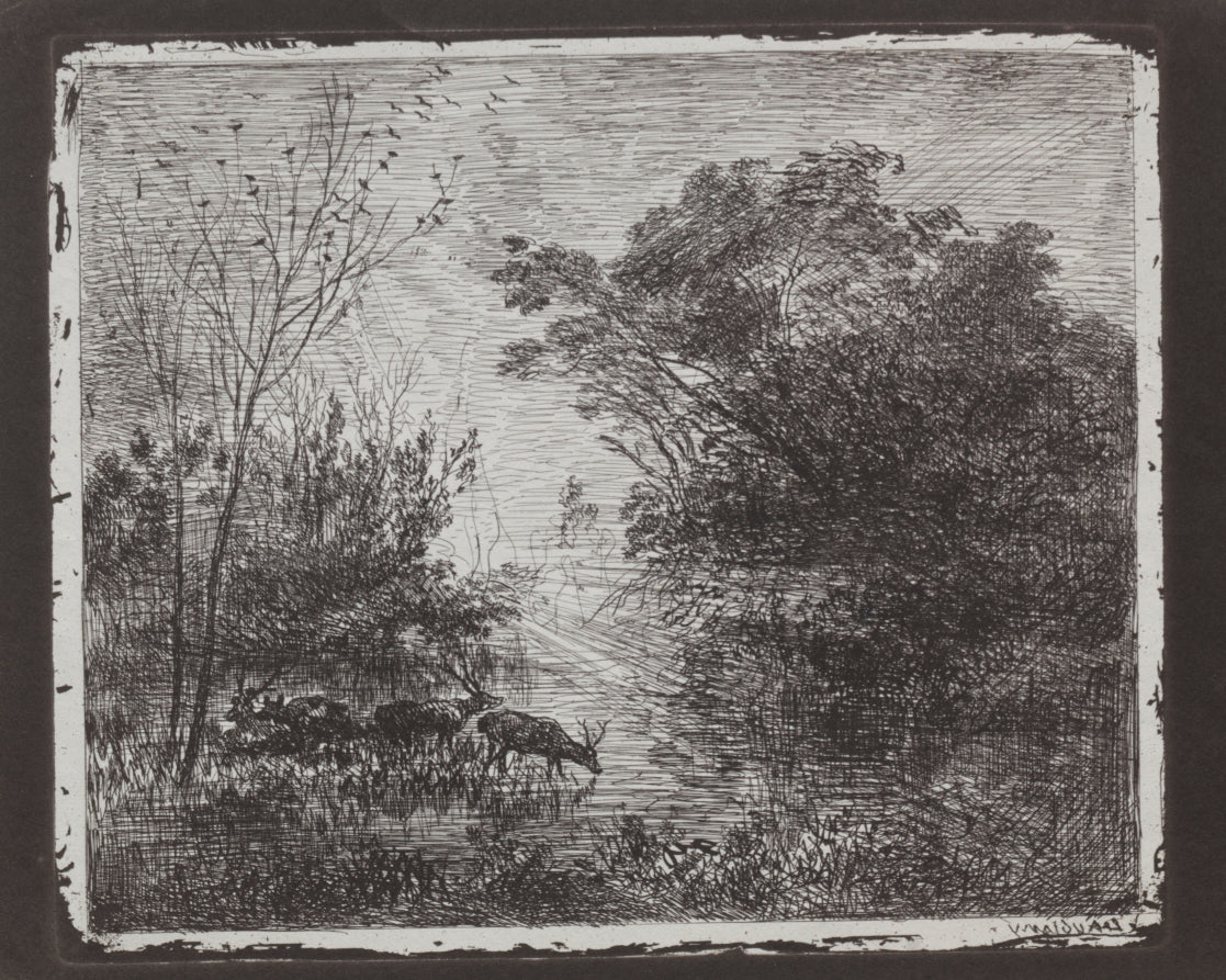 Deer by Charles François Daubigny (French, 1817–1878) - Classic Painting canvas print