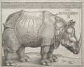 The Rhinoceros by Albrecht Dürer (German, 1471–1528) - Classic Painting canvas print