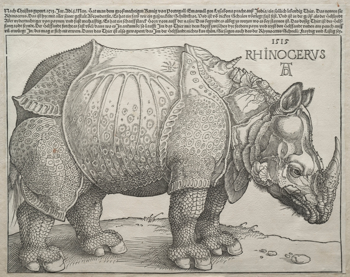 The Rhinoceros by Albrecht Dürer (German, 1471–1528) - Classic Painting canvas print