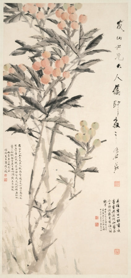 Pipa Loquats by Xugu (Chinese, 1823–1896) - Classic Art canvas print