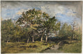 Landscape by Narcisse Diaz de la Peña (French, 1807–1876) - Classic Painting canvas print