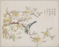 Bird on Pomegranate by  - Classic Painting canvas print