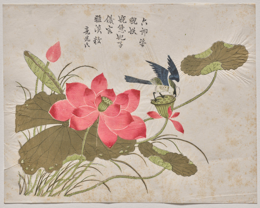 Bird on Lotus by  - Classic Painting canvas print