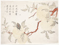 Insect on Viburnum by  - Classic Painting canvas print