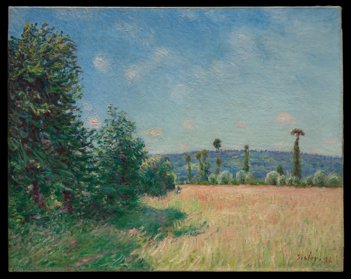Sahurs Meadows in Morning Sun by Alfred Sisley - Oil Painting canvas print