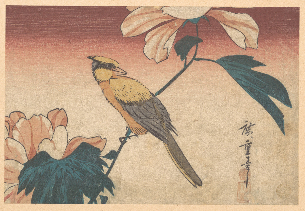 Hibiscus Mutabilis and Jay by Utagawa Hiroshige - Ukiyo-e canvas print