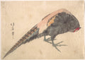Bird by Hakusanjin Hokui - Ukiyo-e canvas print