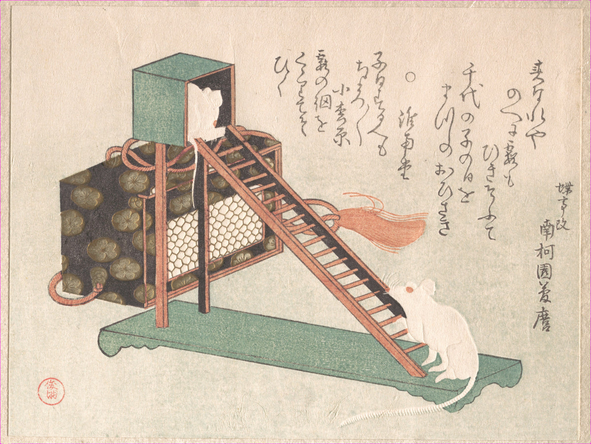 White Mice Playing by Kubo Shunman - Ukiyo-e canvas print