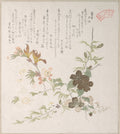 Cherry Blossoms and Yamabuki Flowers by Kubo Shunman - Ukiyo-e canvas print