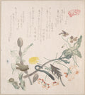 Violets, Primroses and Other Spring Flowers by Kubo Shunman - Ukiyo-e canvas print