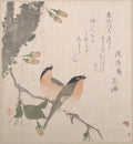 Bullfinches and Cherry Blossoms by Kubo Shunman - Ukiyo-e canvas print