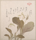 Hotei Flowers by Kubo Shunman - Ukiyo-e canvas print