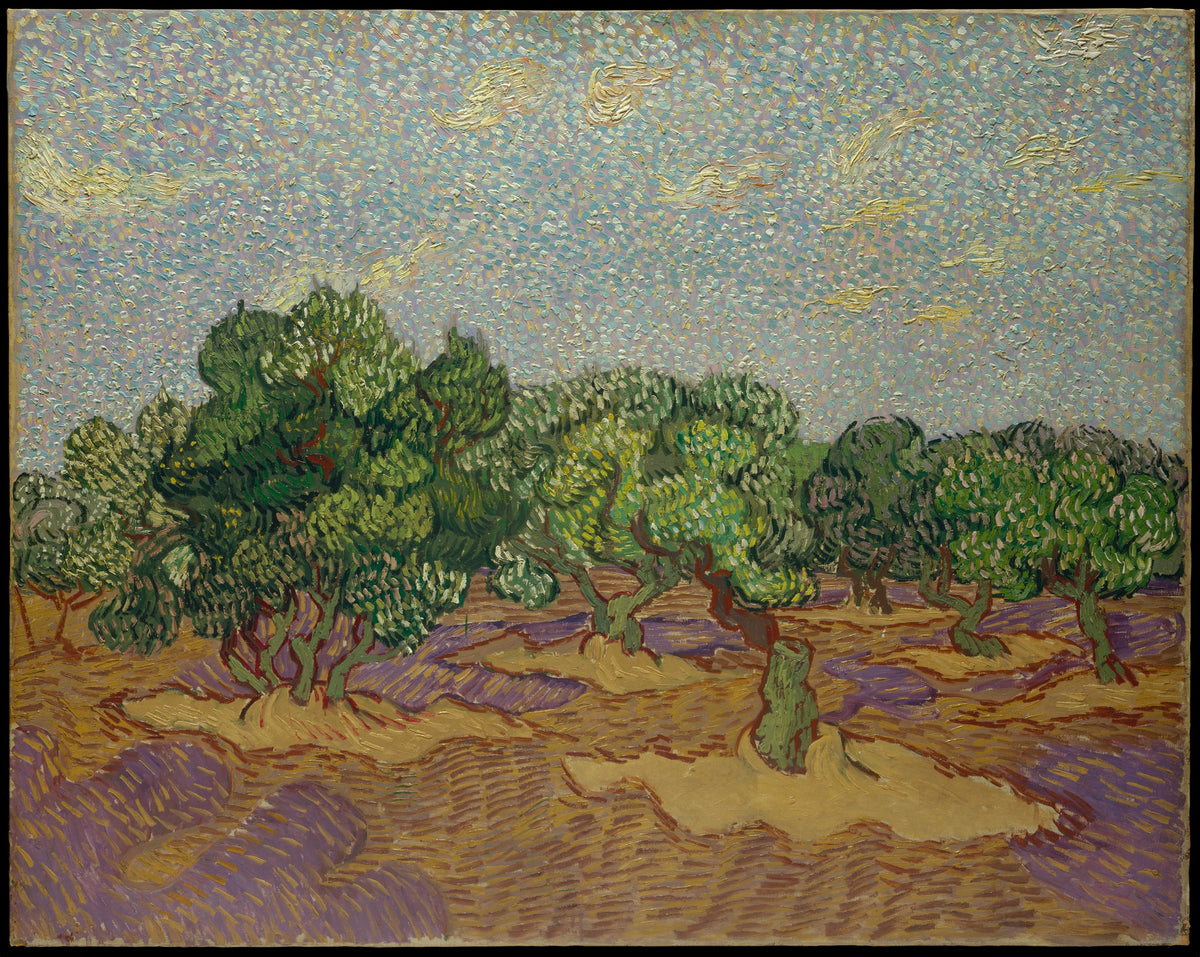 Olive Trees by Vincent van Gogh - Post-Impressionist canvas print