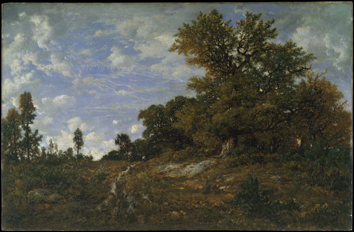 The Edge of the Woods at Monts-Girard, Fontainebleau Forest by Théodore Rousseau - Naive Art canvas print