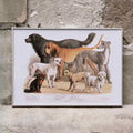 Chiens de famille Poster by Moryarty - Oil Painting canvas print