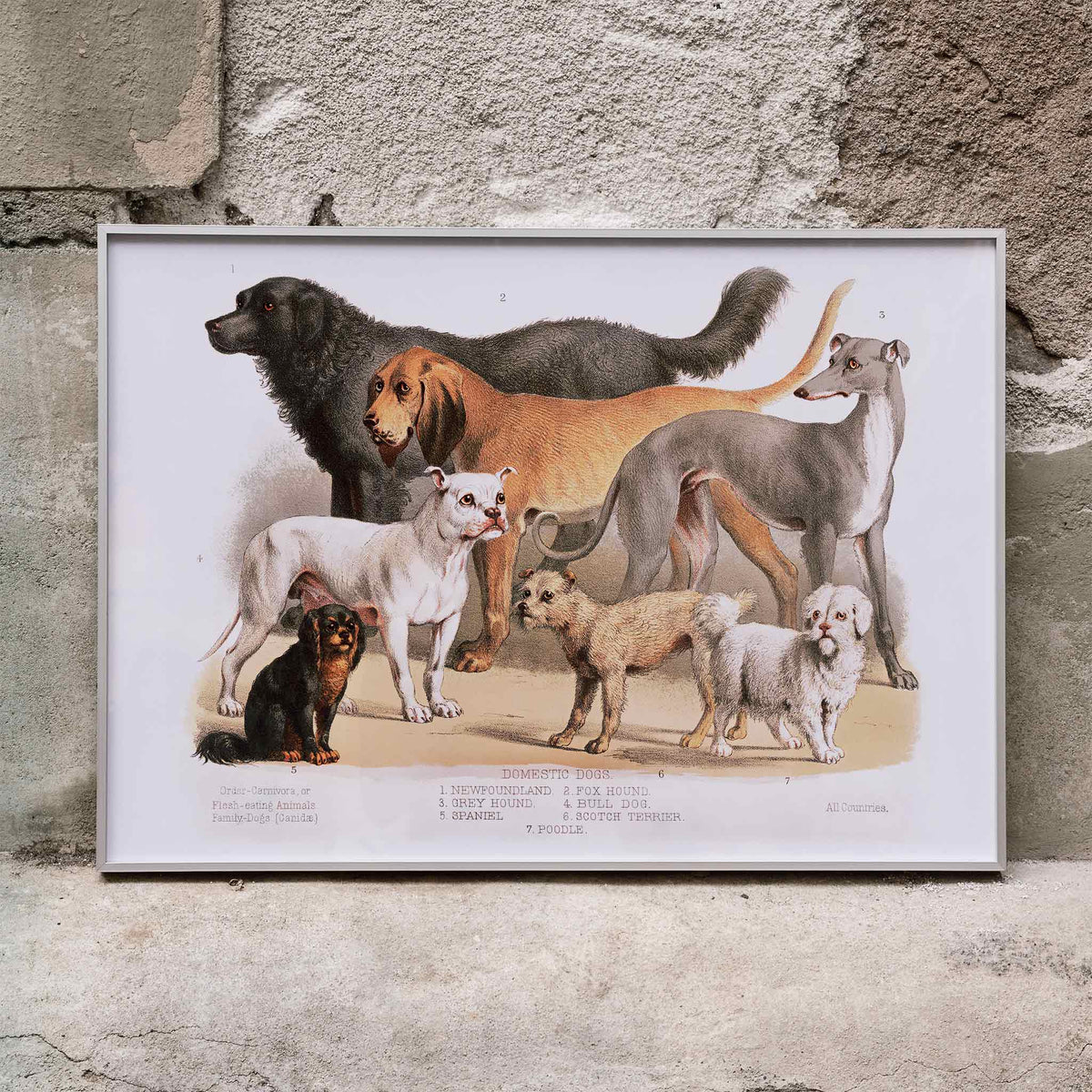 Chiens de famille Poster by Moryarty - Oil Painting canvas print