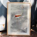 Le Flamant Poster by Moryarty - Oil Painting canvas print