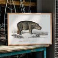Hippopotame amphibie Poster by Moryarty - Oil Painting canvas print