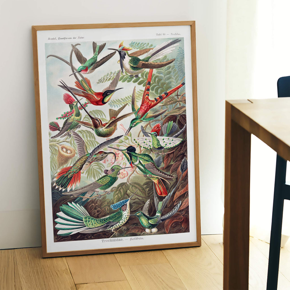 Trochilidae Poster by Moryarty - Oil Painting canvas print