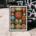 Ascidiae Poster by Moryarty - Oil Painting canvas print
