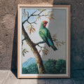 tude d'oiseau Poster by Moryarty - Oil Painting canvas print