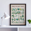 Utilisations conomiques des plantes Poster by Moryarty - Oil Painting canvas print