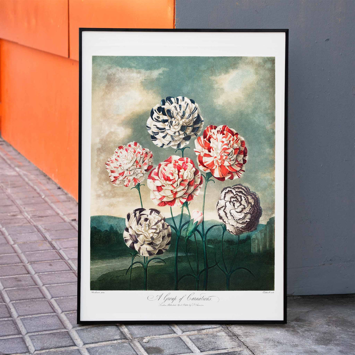 Un groupe d'illets Poster by Moryarty - Oil Painting canvas print