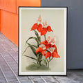 Disa grandiflora Poster by Moryarty - Oil Painting canvas print