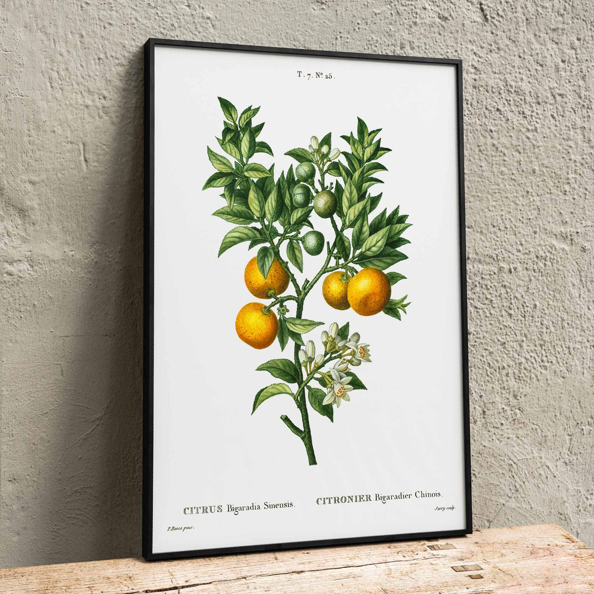 Orange amre-douce Poster by Moryarty - Oil Painting canvas print